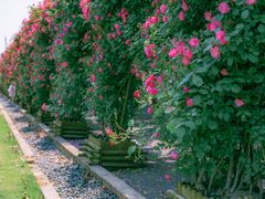 -广富林郊野公园