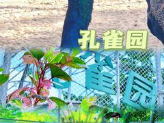 -丹樱生态园