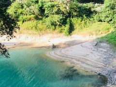 -广州市流溪河国家森林公园