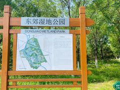 -东郊湿地公园