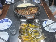 -秦巴石锅鱼(文化南路店)