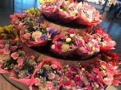 -阿姆斯特丹史基浦机场