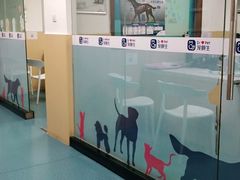 -宠颐生猫科·内科皮肤科(西平世纪城店)