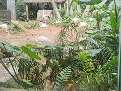 -海南热带野生动植物园