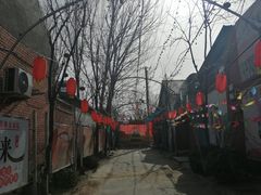 -大狼垡农家院
