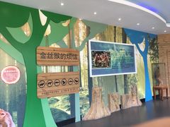 -大连森林动物园游乐场-售票处