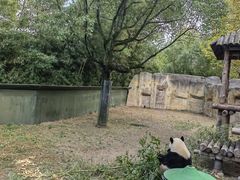 -上海野生动物园