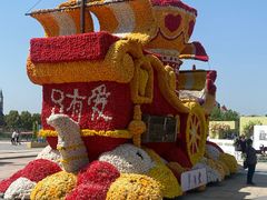 -荷兰花海