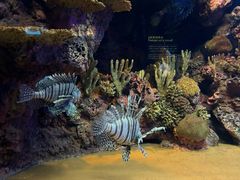 -上海海洋水族馆