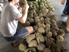 -宝盛园民宿