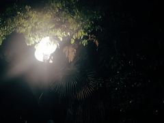 -我家农庄