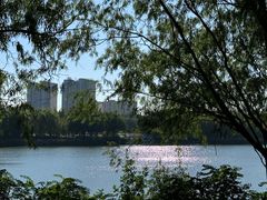 -大兴滨河森林公园