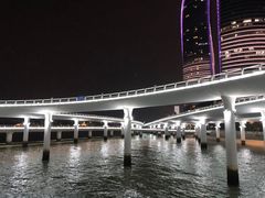 -演武大桥观景平台