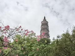 -顺峰山公园