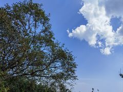 -白草畔自然风景区