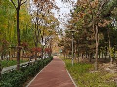 -大兴滨河森林公园