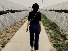 -庞各庄西瓜蔬菜采摘园·锦华瓜园