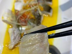 金椒酱蒸鸡油大白鱼-苏湘小馆·不做预制菜(青年公社店)