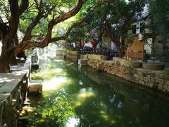 -小洲村
