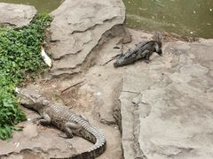-南昌动物园