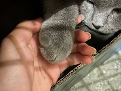 -NOTOOCAFE不二咖啡馆(岩前店)