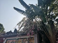 -深圳国际园林花卉博览园