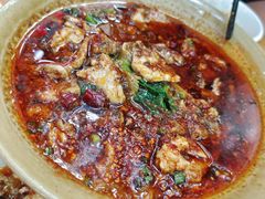水煮肉片-雨田饭店