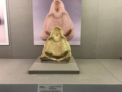 -北京大学赛克勒考古与艺术博物馆