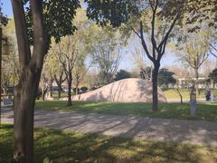-唐城墙遗址公园