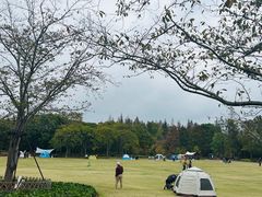 -上海滨江森林公园