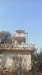 -玄武湖景区-情侣园游乐场