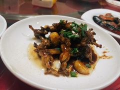 -红灯笼龙凤饭店(宁波老字号店)