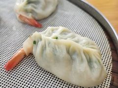 -小叶大馅饺子城