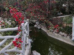 -小南山公园