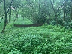 -西湖风景区-江洋畈生态公园