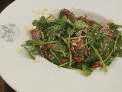 -海岛八号龙虾烧烤田鸡(蓝天路总店)