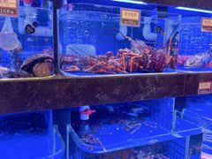 -協成海鮮火鍋(老店)