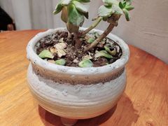 -徐小包(黎阳in巷店)