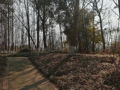 -桤木河湿地公园