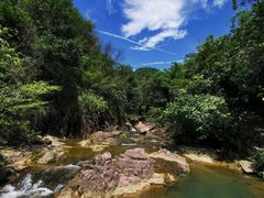 -广州白江湖森林公园