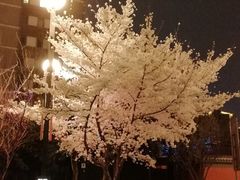 -唐城墙遗址公园