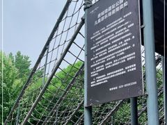 -唐城墙遗址公园