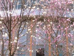 -苏州大学(天赐庄校区)