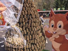 -五营红松林海景区