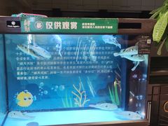 -肆月河豚·淮扬菜·湘菜(华天店)
