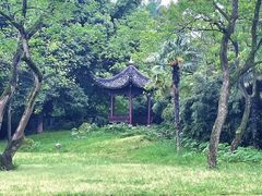 -杭州植物园