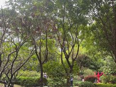 -南宁荔园维景国际酒店·荔园中餐厅