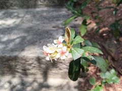 -仙岳公园
