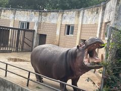 -合肥野生动物园