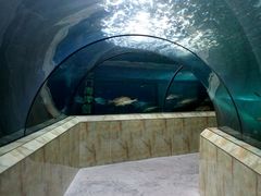 -洛阳龙门海洋馆